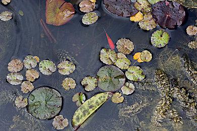 《三角洲行动》官宣9月26日上线 登陆PC和移动端